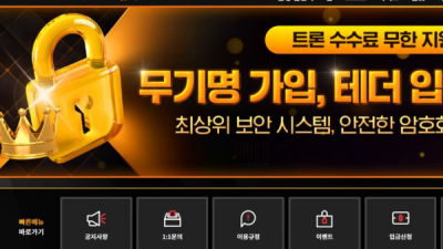 유투벳 먹튀 you-114.com